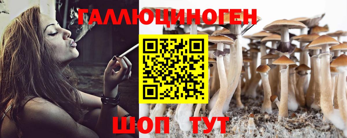 Галлюциногенные грибы мицелий Протвино
