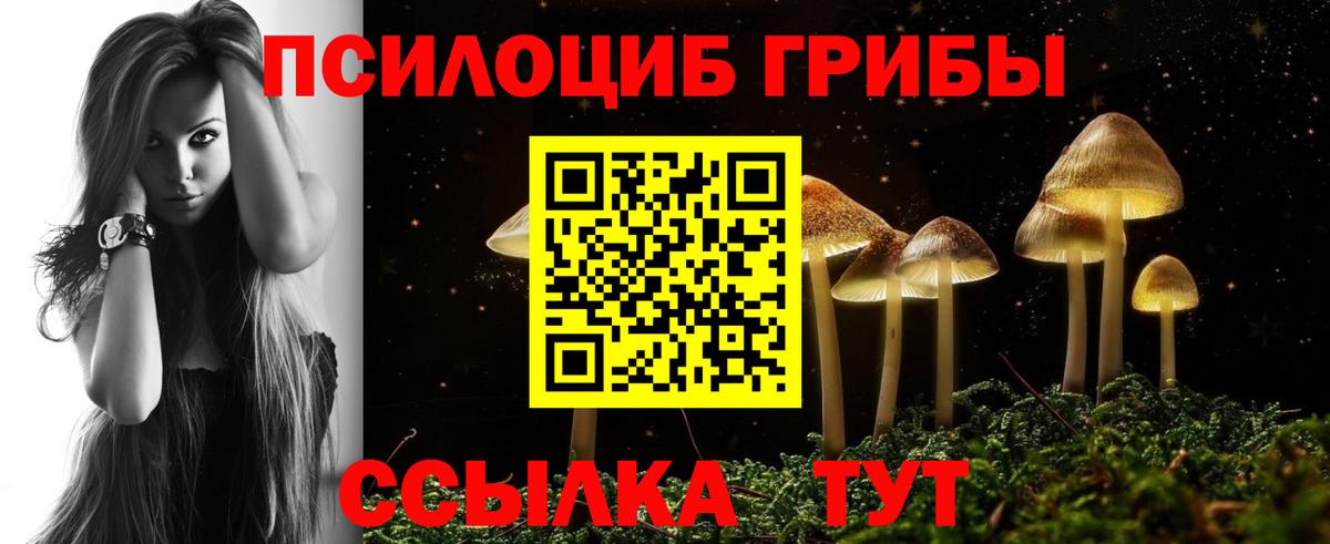Галлюциногенные грибы Cubensis  Вход с VPN  цены   Протвино 