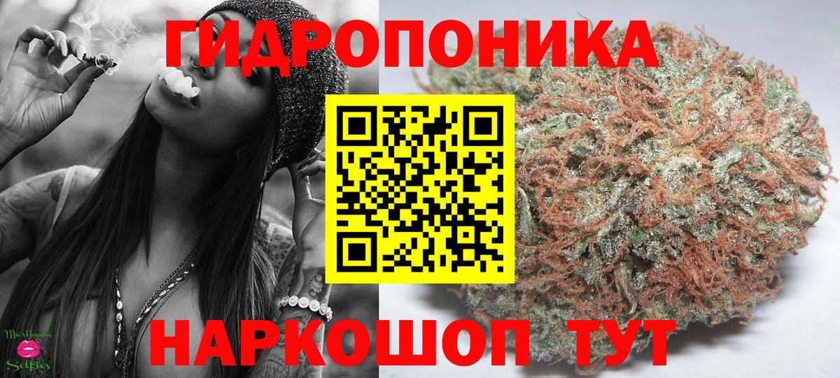 Бошки марихуана White Widow  Канабис White Widow  Вход с VPN  Протвино  Шишки марихуана индика  Каннабис Amnesia 